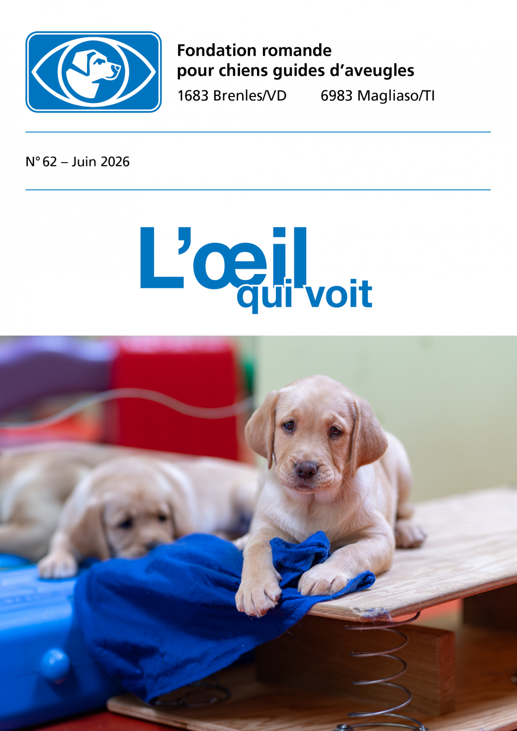 Image Bulletin No 62 : Juin 2026