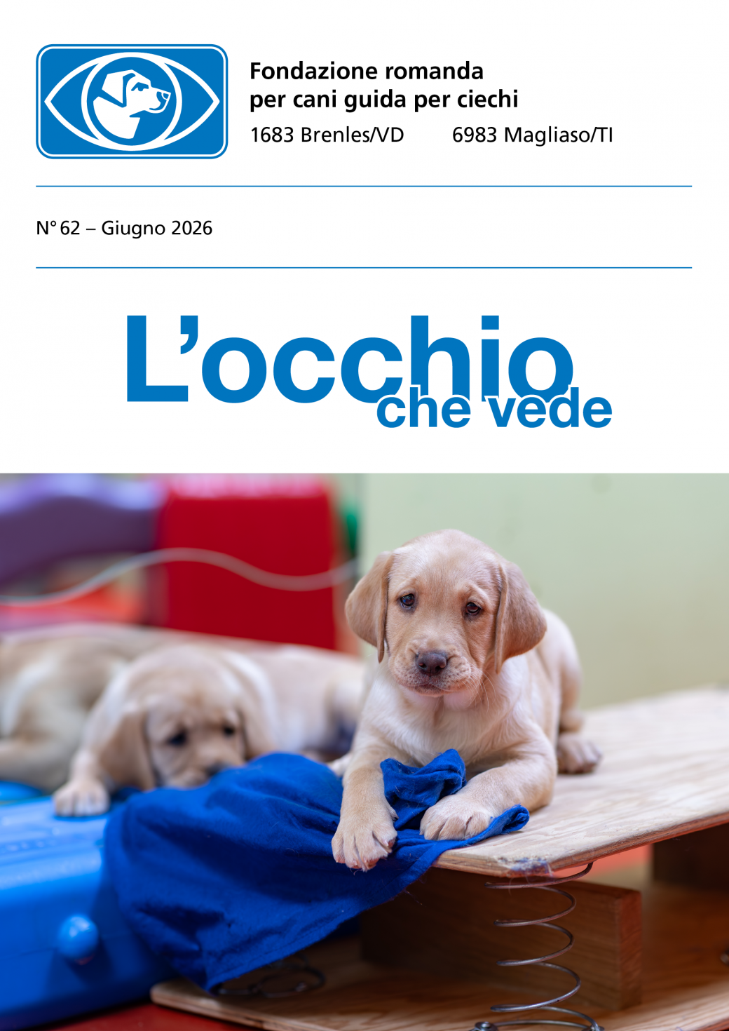 Image Bolletino No 62: Giugno 2026