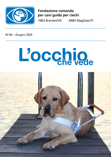 Image Bolletino No 60 giugno 2025