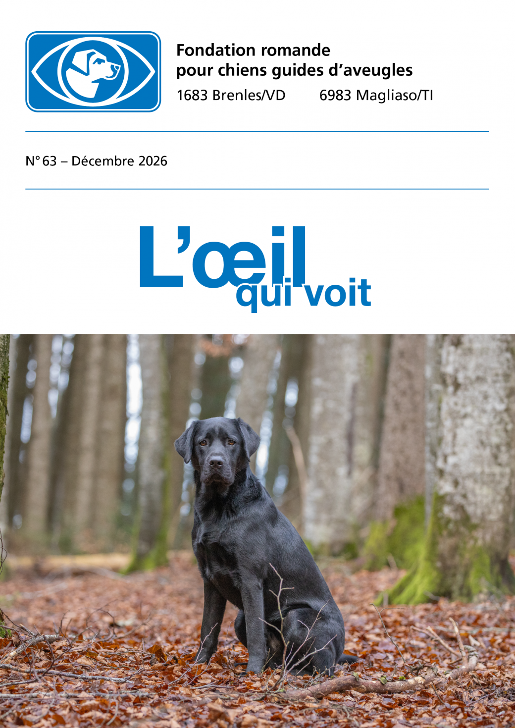Image Bulletin No 63 : D&eacute;cembre 2026
