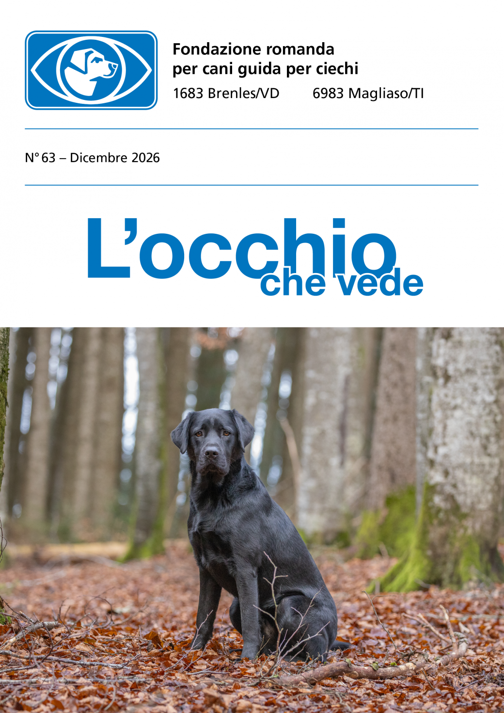Image Bolletino No 63: Dicembre 2026