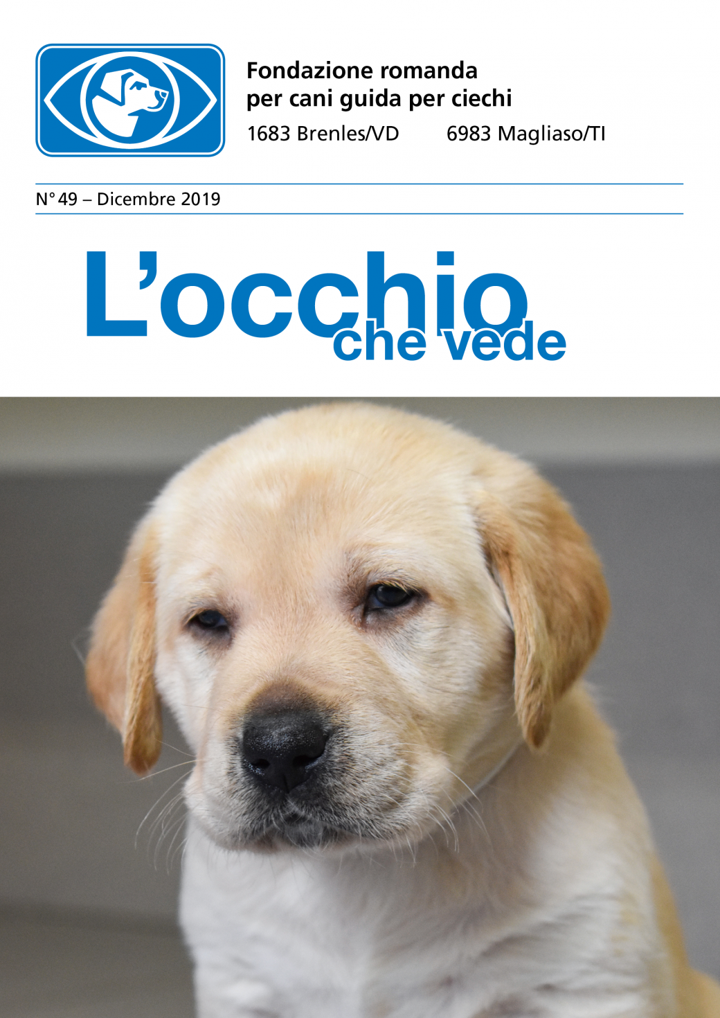 Image L'occhio che vede No 49 dicembre 2019