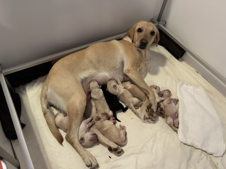 Image L7: Jaliska x Kennedy