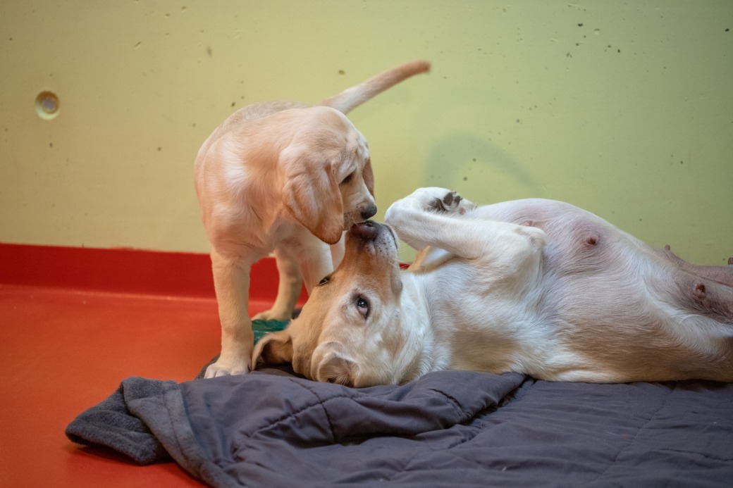 Image S&eacute;ance d'information pour futures familles de parrainage