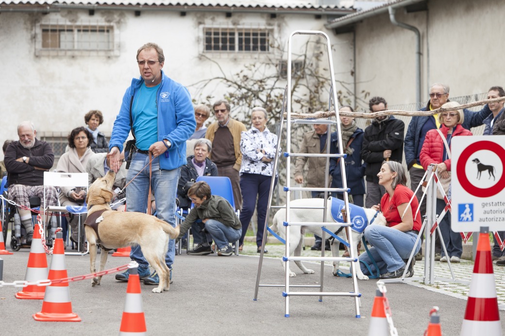 Image Giornate porte aperte a Magliaso 2021