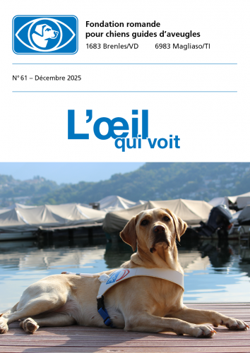 Image Bulletin No 61 d&eacute;cembre 2025