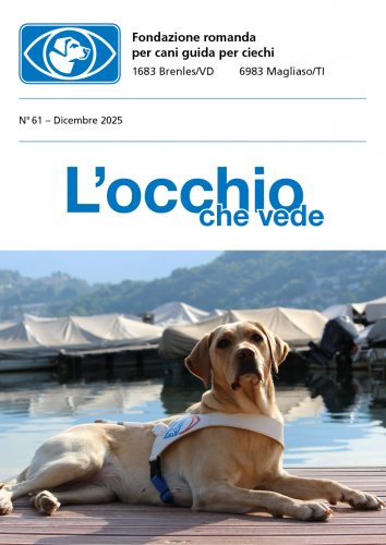 Image Bolletino No 61 dicembre 2025